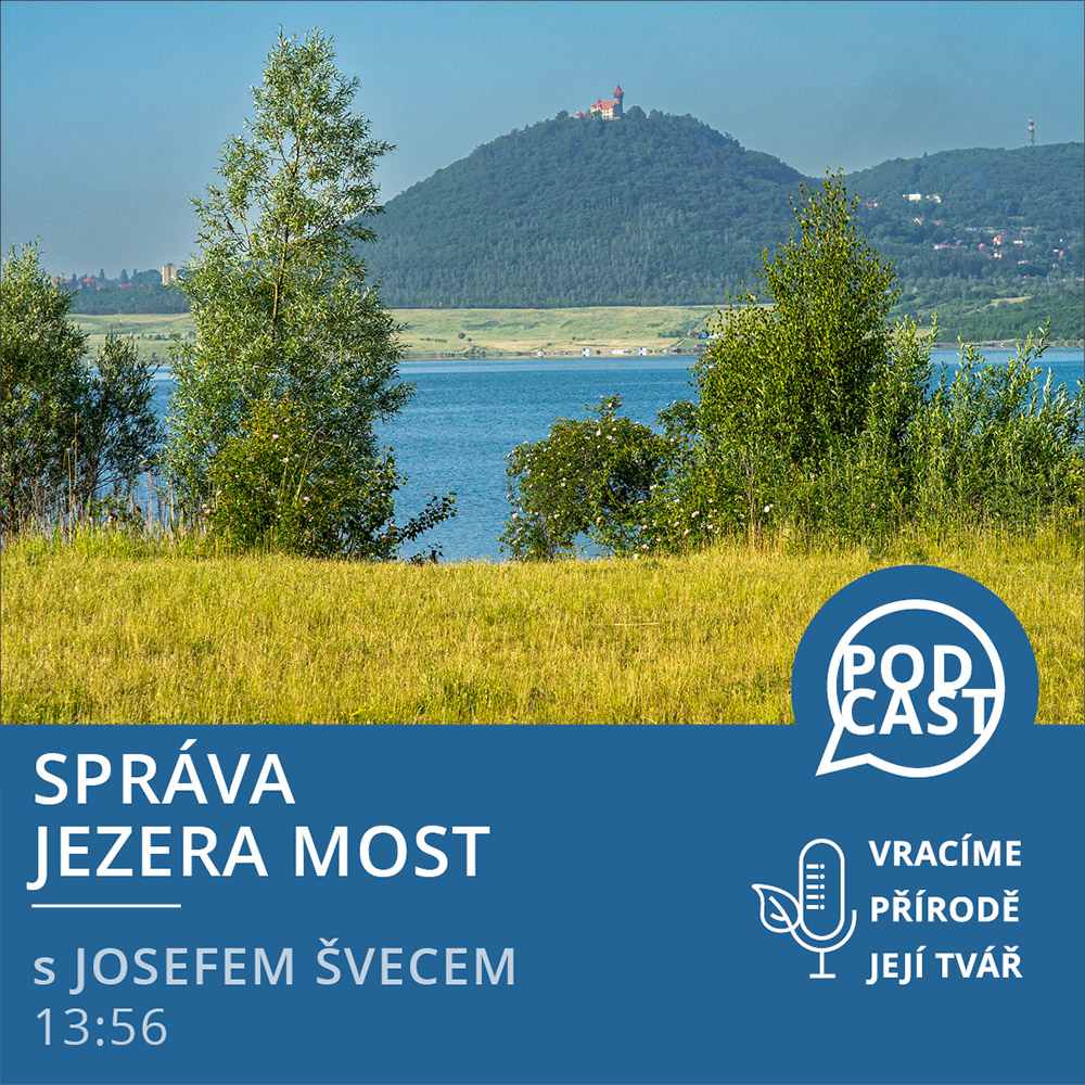 Správa jezera Most