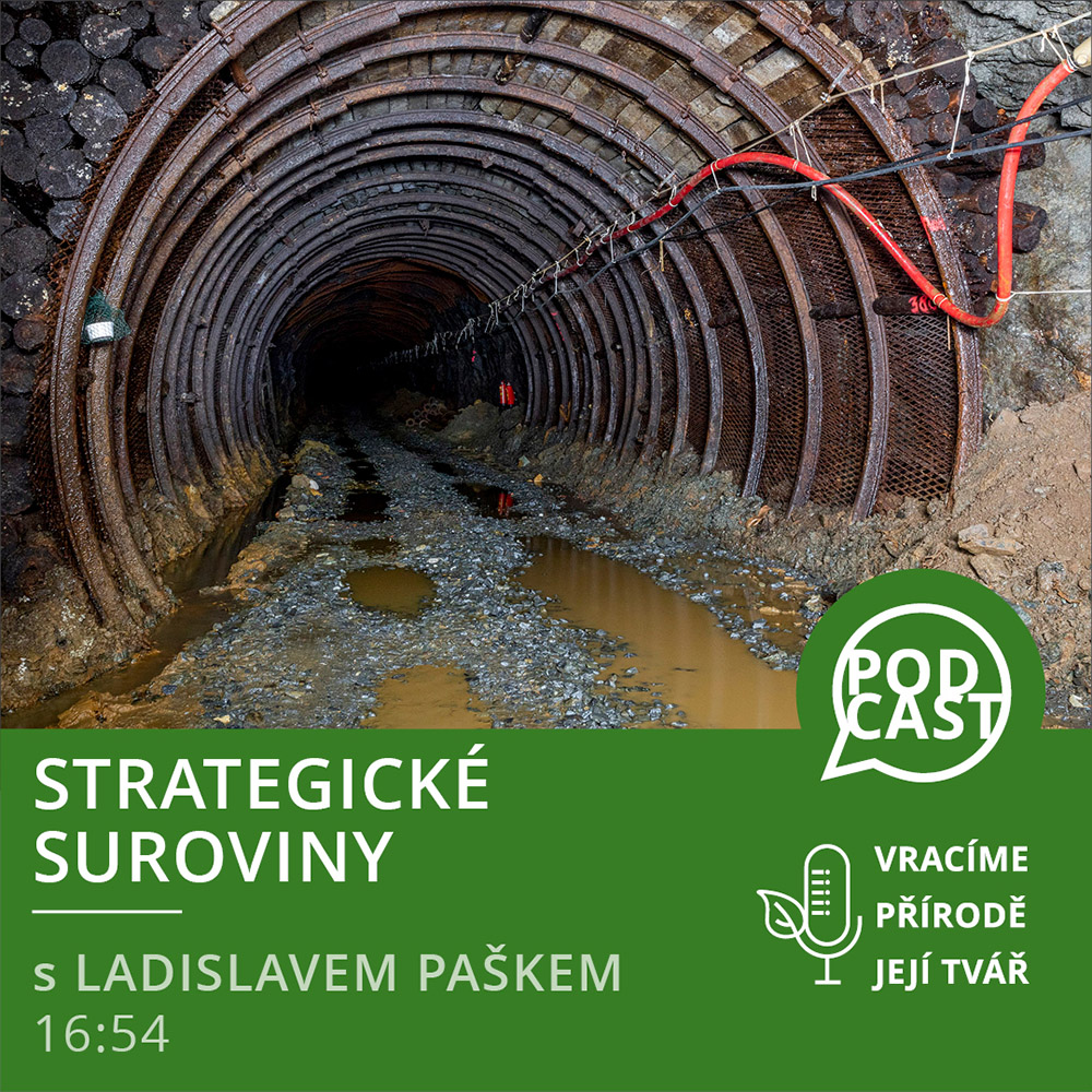 Strategické suroviny